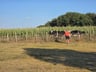 Super vakantie-b2290023-5aa4-428c-88a0-d19e9d093eeb