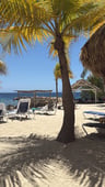 Heerlijke vakantie bij Curaçao Blue Bay -bf6ee54e-48bf-423f-80b1-a95fe6b7955d