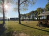 Safari-lodge-tent: glamping! Perfect!-bfe6641d-eebb-4b59-833a-9aea40e084cb