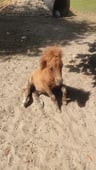 Voor een herhaling vatbaar!-c5a9f043-0389-4267-bf13-d277fba0d635
