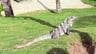 Super vakantie Mexico-c845ef8e-830e-40fb-9dba-dc1a8f25923e