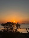 XXL Kampeerplaats aan het Trasimenomeer-cc3bbf8d-ad69-4315-b009-12dcb37da1eb
