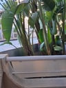Extreme slechte kamers zonder uitzicht balkon-d3ced68c-7b7e-4400-95c7-5a39c1a3d013