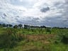 Hele fijne camping -d448f651-ffd5-49ff-ba17-fbd6d023845a