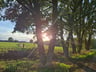 Heerlijke vakantie gehad.-e36b49a2-62fb-4d00-9390-fce8d3b7643f