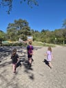 De europarcs review -e467e41d-976b-410c-bc7c-ad3ef9a1294d