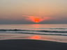 Heerlijk park in de prachtige duinen! -e8e2bf5f-7466-4530-88a0-a33c8bddc6e6