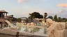 Leuke camping-ec6423fd-921e-4cf1-a18c-c929b1b6b060