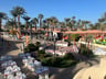 Geen vakantie, maar ‘coming home’. -ed4fe35a-9524-42d6-beab-5585a37ce19c