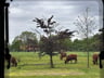 Mooie, zeer rustige, gastvrije camping.-f6e129de-341c-492e-9e1e-6c287b8c9602