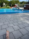 Geweldig -f6e8ed06-fcbb-4b2a-bd09-4e2444d13c2f